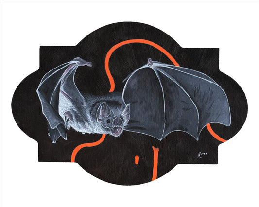 Bat - 8 x 10 Print